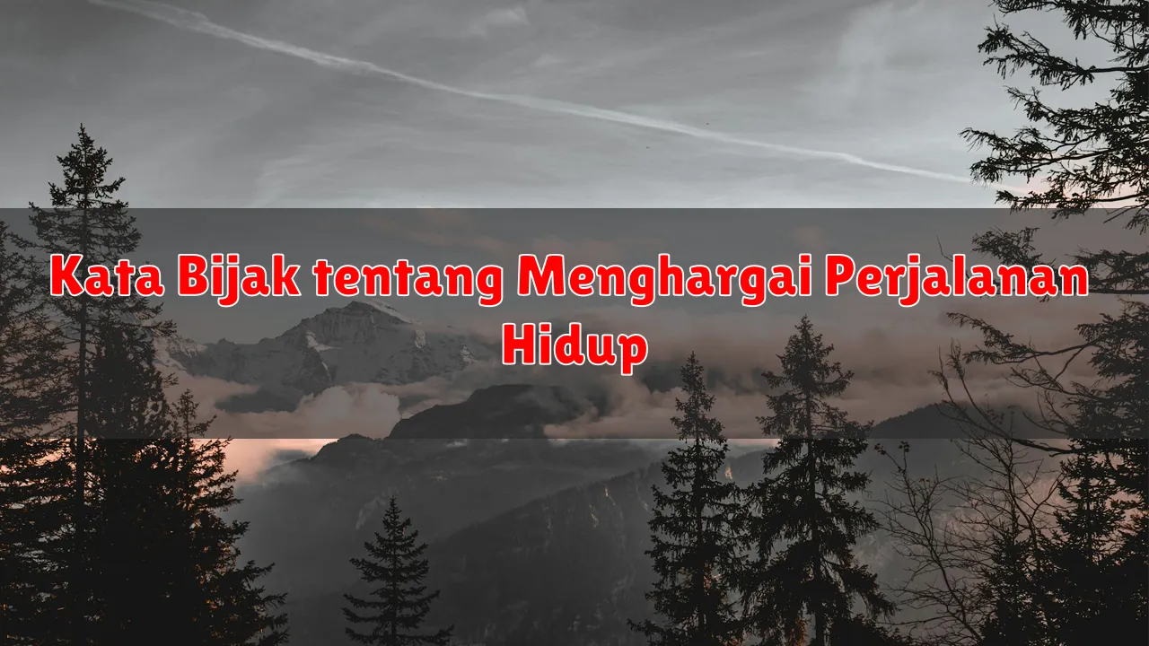 Kata Bijak tentang Menghargai Perjalanan Hidup