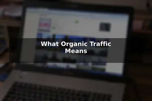 What Organic Traffic Means