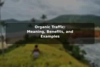 Organic Traffic: Meaning, Benefits, and Examples Organic Traffic: Meaning, Benefits, and Examples