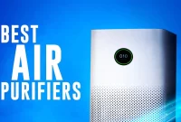 Best Air Purifiers for 2024