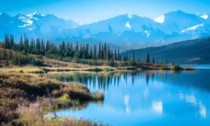 Tips for Traveling in Alaska: Wilderness Exploration and Wildlife Viewing