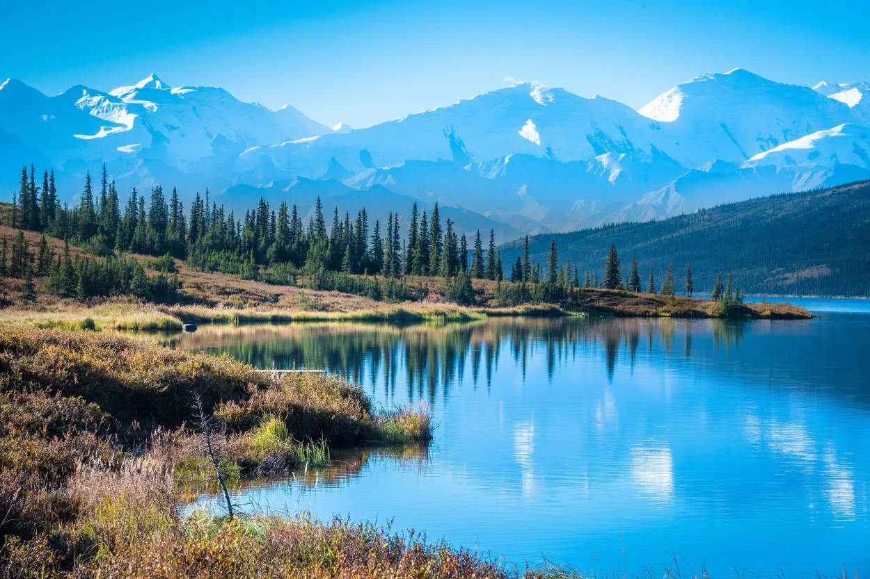 Tips for Traveling in Alaska: Wilderness Exploration and Wildlife Viewing