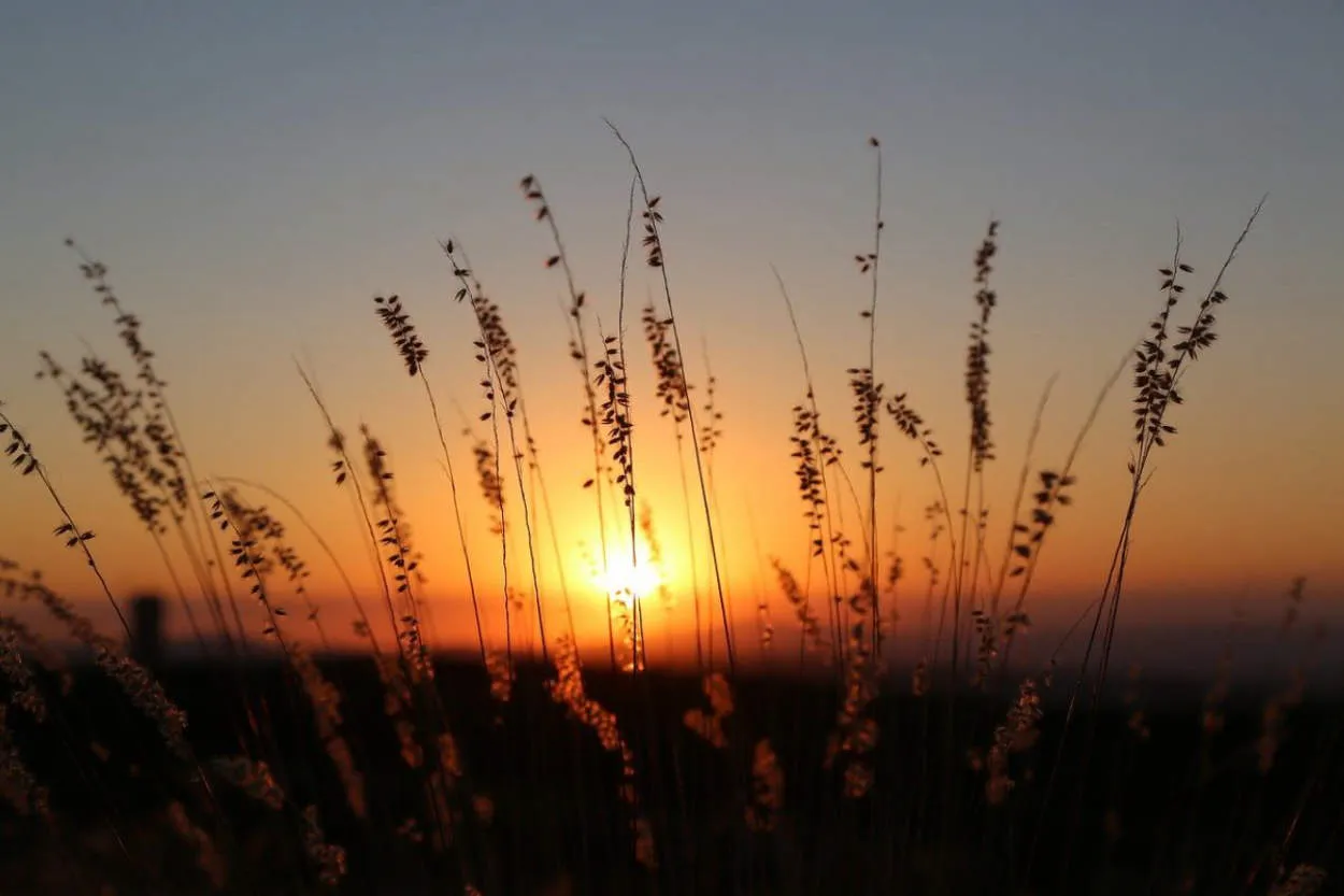 Tips for Traveling in Saskatchewan: Exploring the Prairies