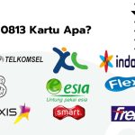 Nomor 0813 Kartu Apa